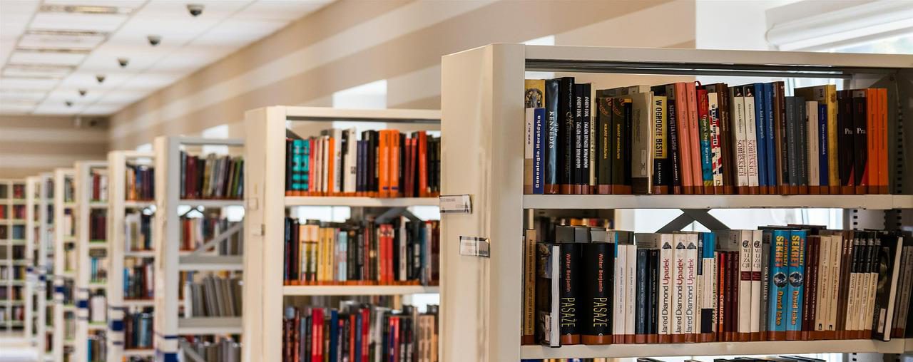 library, books, bookcases-488690.jpg